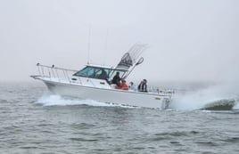 Am walleye charter