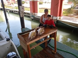 Halfday AM 33 Ft Contender: Texas Deep Sea Fishing Charter