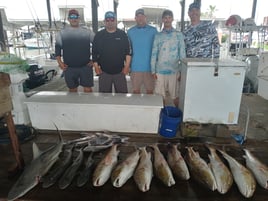 Halfday PM 33 Ft Contender: Texas Deep Sea Fishing Charter