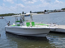 6hr offshore fishing