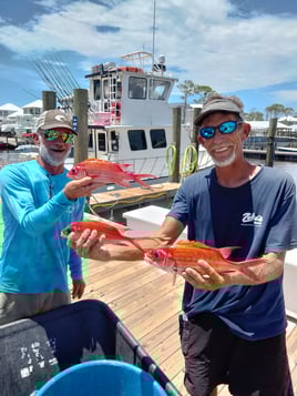 Lane Snapper Fishing in Orange Beach, Alabama
