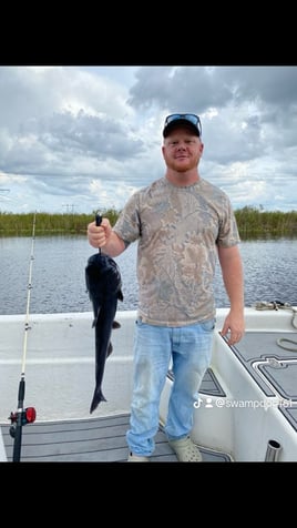 Cat fish hunter