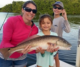 Clearwater Florida Shallow Water Sightfishing