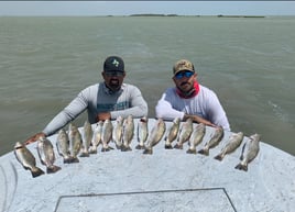 Bay Fishing