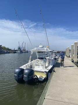 All Day Offshore Fishing