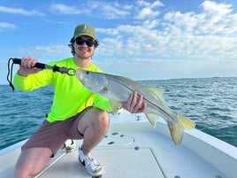 Snook Fishing in Key West, Florida