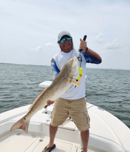 4 hr AM Galveston Bay & Jetty