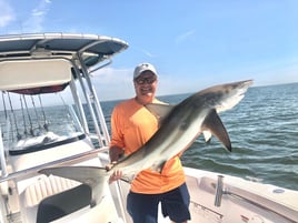 3 Hour Shark Trip