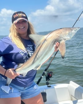 3 Hour Shark Trip