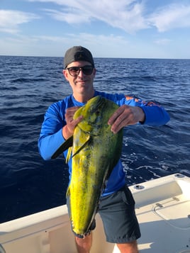 Offshore 3/4 day