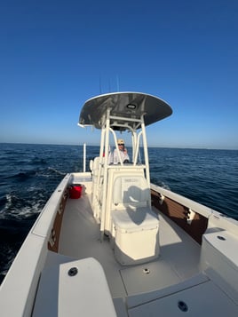 Reel Salty Sportfishing Tarpon fishing
