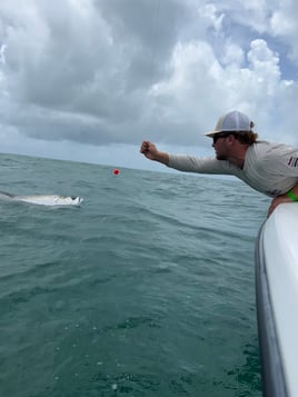 Tarpon Fishing in Clearwater, Florida