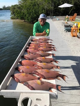 8hr Trip 30-40 Miles Offshore