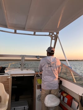 SPI dolphin watch