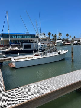 SPI Dolphin Watch