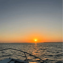 SPI Dolphin Watch