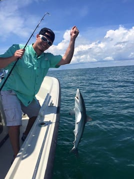 Texas City Shark Trip