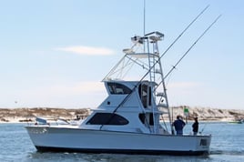 Destin Red Snapper Mania - 10-12 Hrs