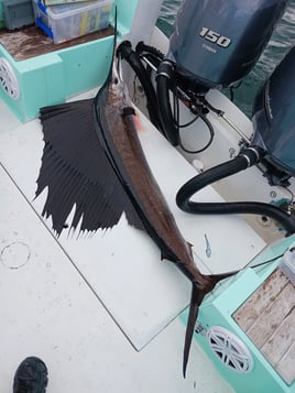 10 hour Extreme Offshore