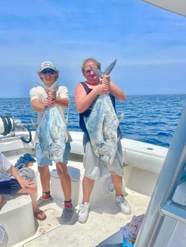 12 hour Deep sea