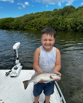 Redfish Fishing in Crystal River, Florida