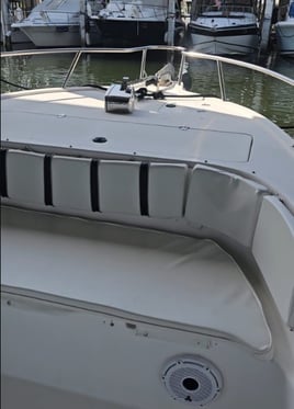 4 hour Charter
