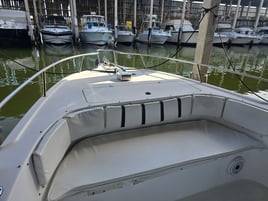 5 Hour Charter