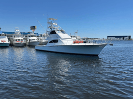 Luxury Sportfishing - Ballistic II