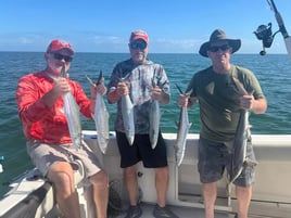 Marathon Fishing Extraordinaire