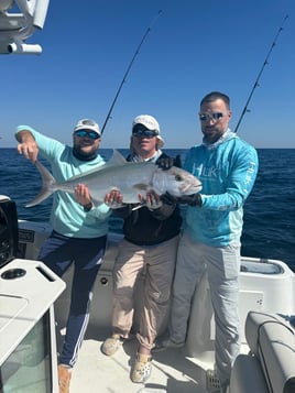 6 Hours Fishing trip