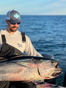 Bluefin tuna