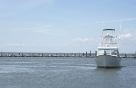 5 Hour Bottom Fishing & Trolling Trip