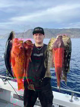 11 hour Catalina fishing  experience