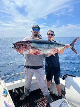 12 hour Offshore Tuna
