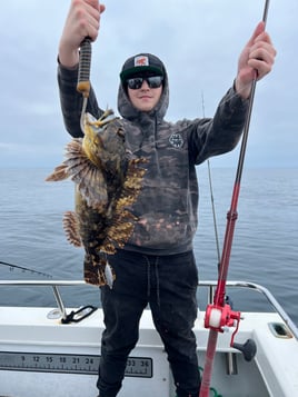 6 hour local fishing