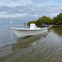 Tarpon Fishing Tampa Bay