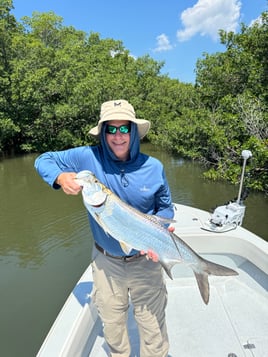 Tarpon Fishing