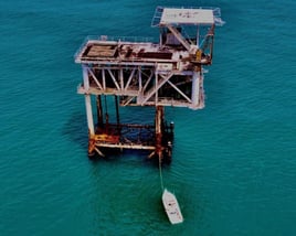 Red Snapper Offshore in Port A