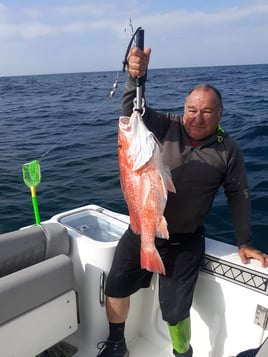 Ocean Strike Trip