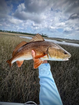 6-Hour Inshore