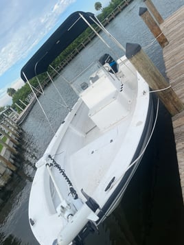 Crappie, Bass or Snook you choose when you book!