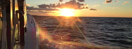 Summer Flounder AKA Fluke Trip