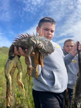 Peacock Bass & Iguana Cast & Blast