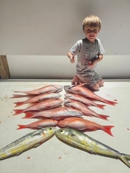 6hr nearshore bottom fishing
