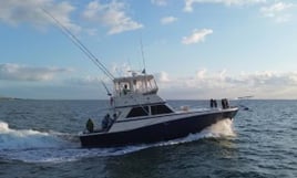 The Best Fishing Charter in Cancun. +380 Excellent Reviews