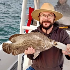 4-8 Hours Nearshore Morning Trip