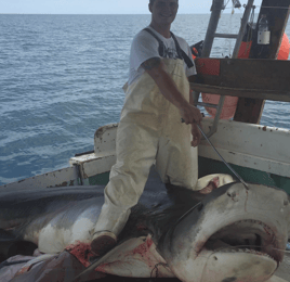 Shark Fishing Experience