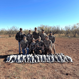 Premier Sandhill Crane hunting