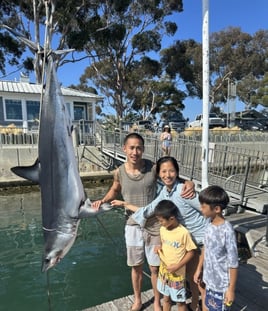 SPORTFISHING or SHARKING or BOTH
