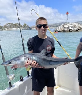 SPORTFISHING or SHARKING or BOTH